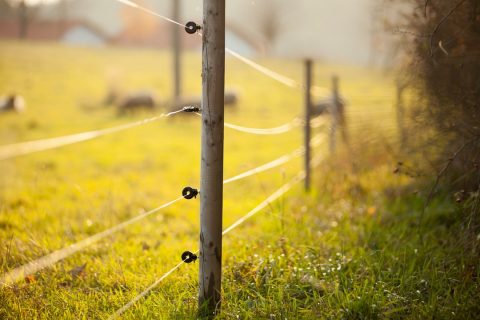 Une clôture de type agricole